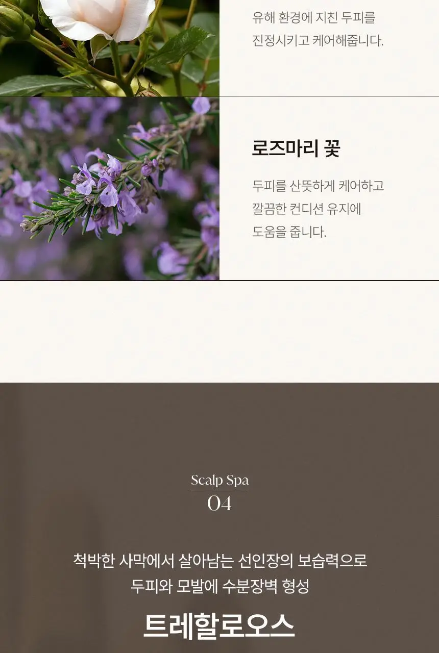 [신규런칭/극손상모개선] 이드르르 스칼프스파 트리트먼트 390ml 상세페이지 52